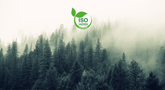 Canossa is now ISO 14001 certified! | Cavallino Classic