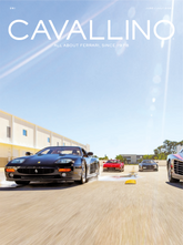 | Cavallino