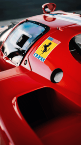 | Cavallino